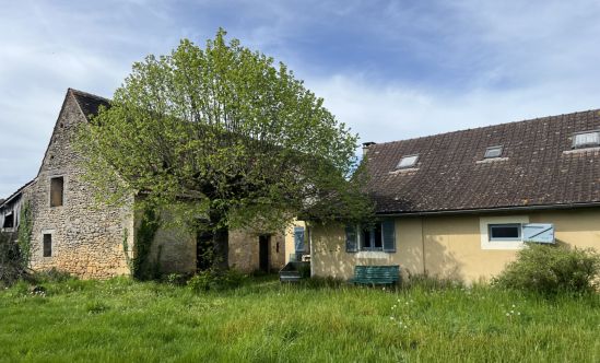 Near Montignac, in a quiet location, holiday home with large barn and lovely 3500 m² garden with young truffle trees.